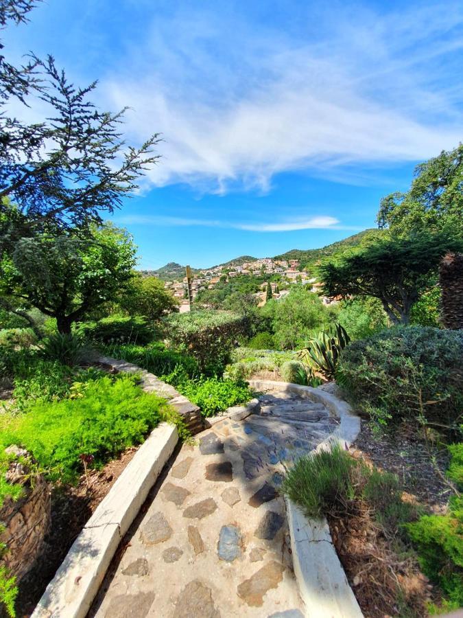Appartements Dans Villa En Rez De Jardin Hyeres Ngoại thất bức ảnh