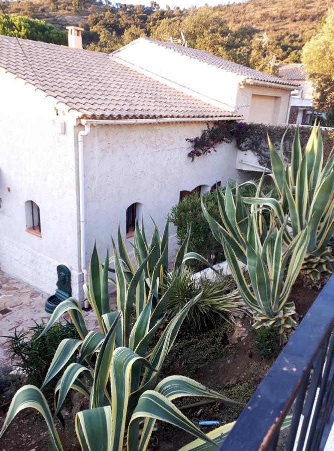 Appartements Dans Villa En Rez De Jardin Hyeres Ngoại thất bức ảnh
