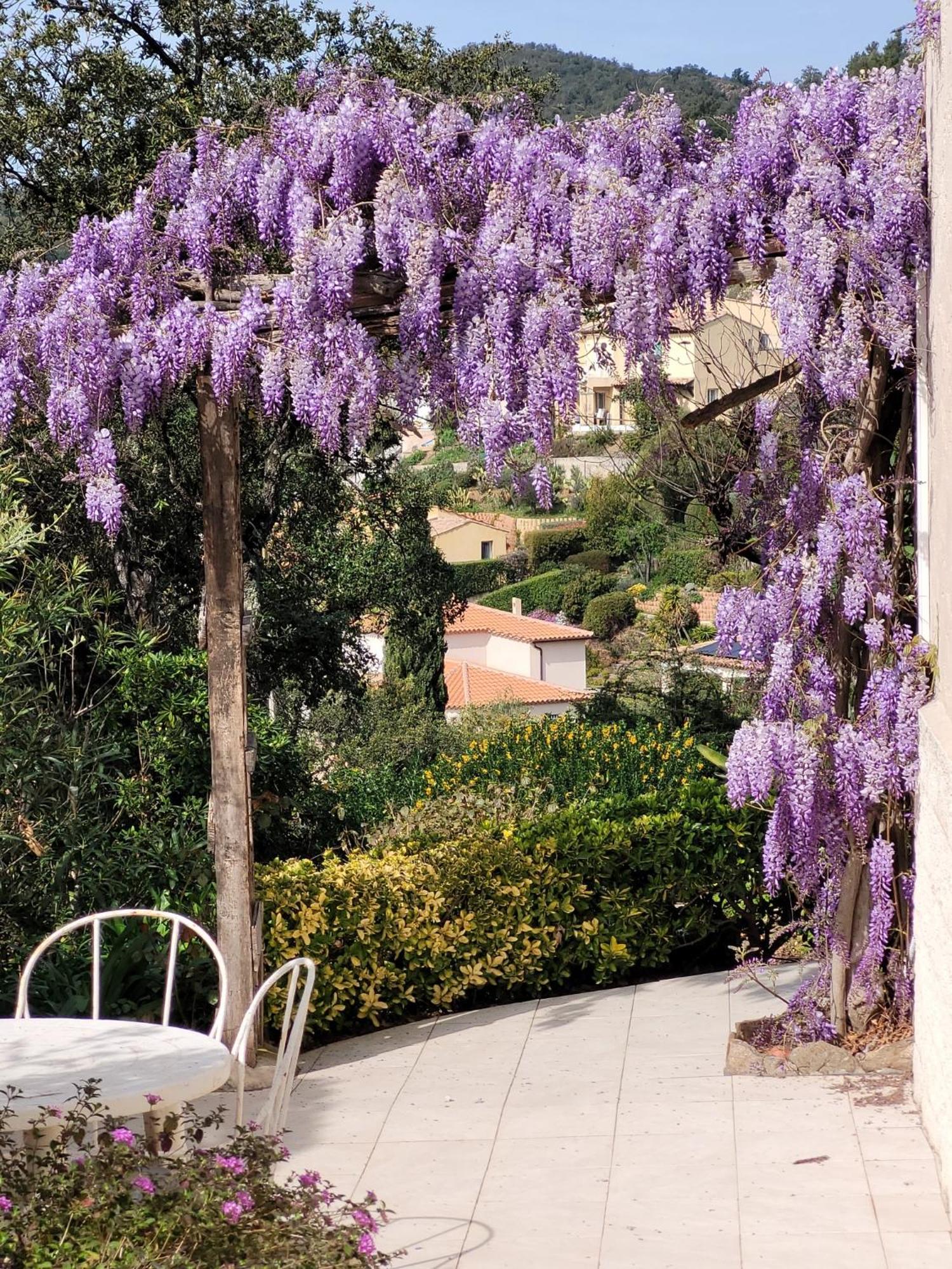 Appartements Dans Villa En Rez De Jardin Hyeres Ngoại thất bức ảnh