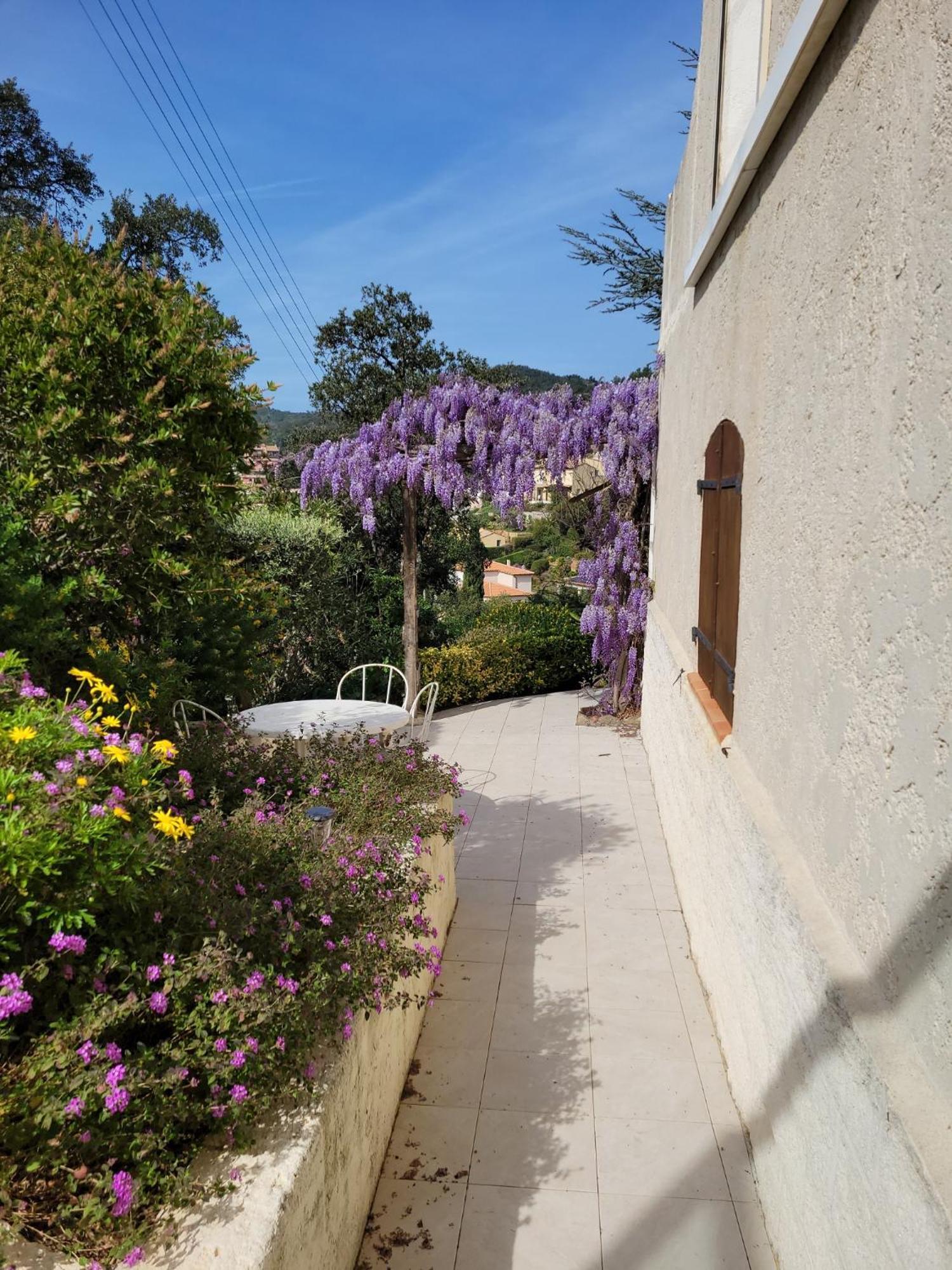 Appartements Dans Villa En Rez De Jardin Hyeres Ngoại thất bức ảnh